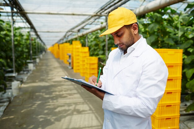 Korzyści z implementacji systemów zarządzania jakością żywności w biznesie online